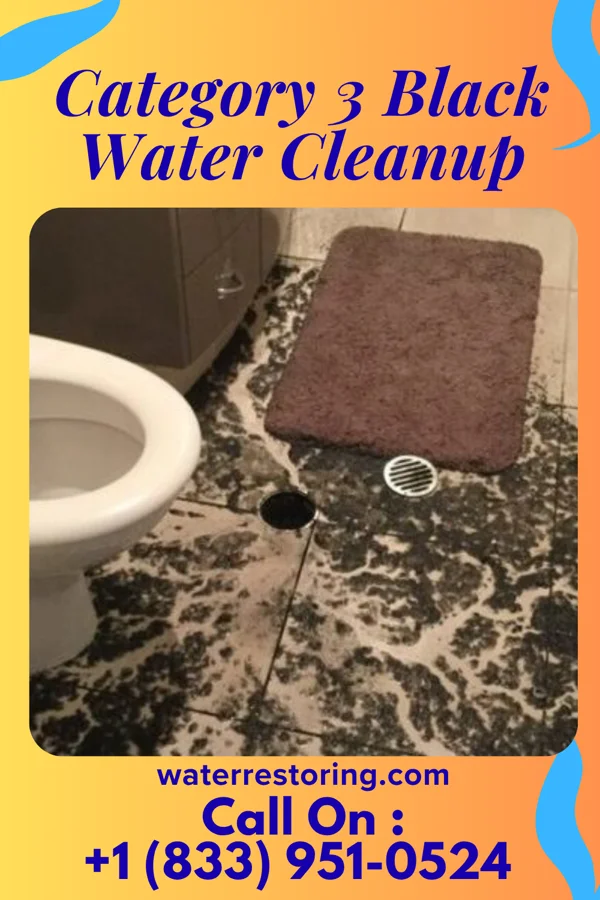 Category 3 Black Water Cleanup in Heeia, HI