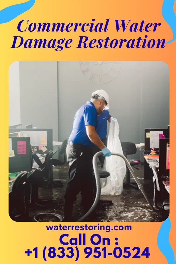 Commercial Water Damage Restoration in Heeia, HI