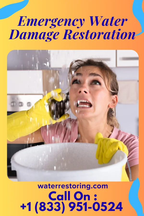 Emergency Water Damage Restoration in Heeia, HI
