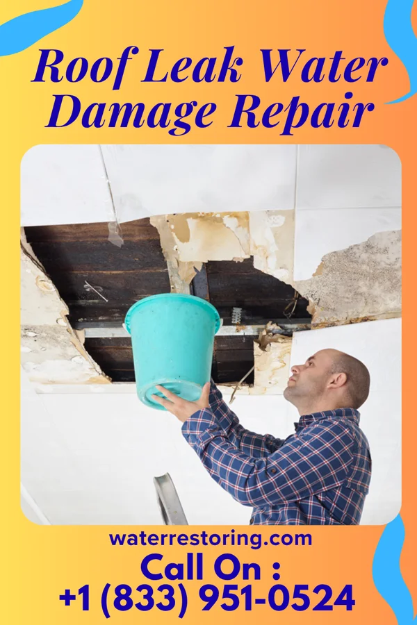Roof Leak Water Damage Repair in Heeia, HI