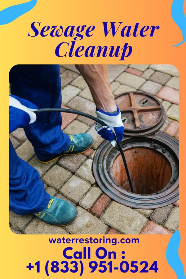 Sewage Water Cleanup in Heeia, HI